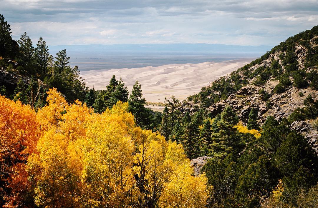 great sand dunes seen from the forest.jpg
