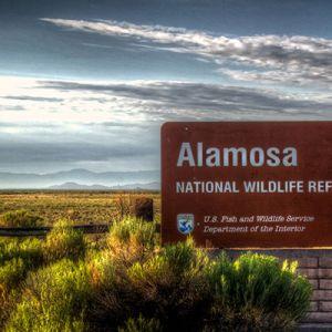 Alamosa National Wildlife Refuge